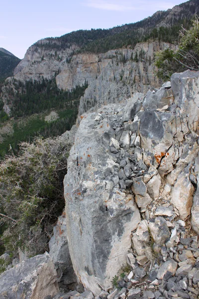 Mount Charleston - Nevada — Stock Photo, Image