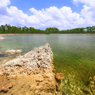 Everglades ulusal park - ABD