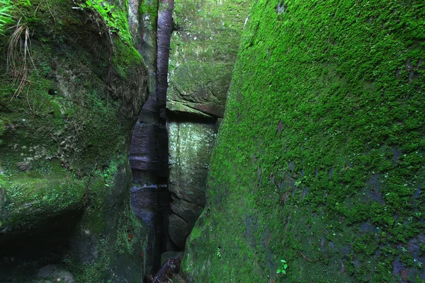 Moosbewachsener Felsen — Stockfoto