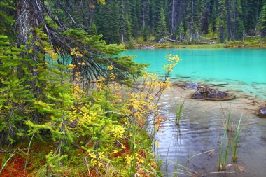 Yoho milli park su birikintisi