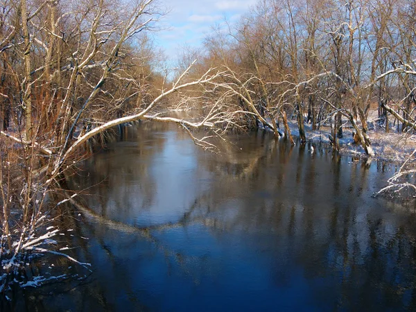 Condado de Sangamon River Piatt Illinois —  Fotos de Stock