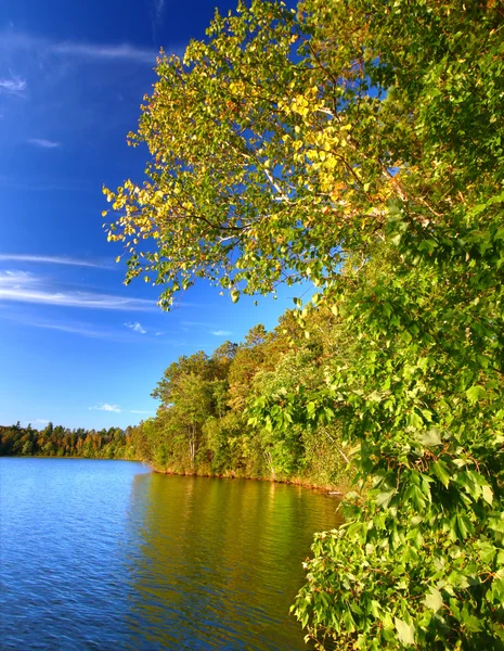 Sweeney tó Northwoods Wisconsin — Stock Fotó