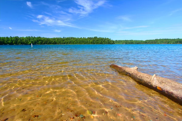 Wisconsin Northwoods Swimming Beach - Stock-foto