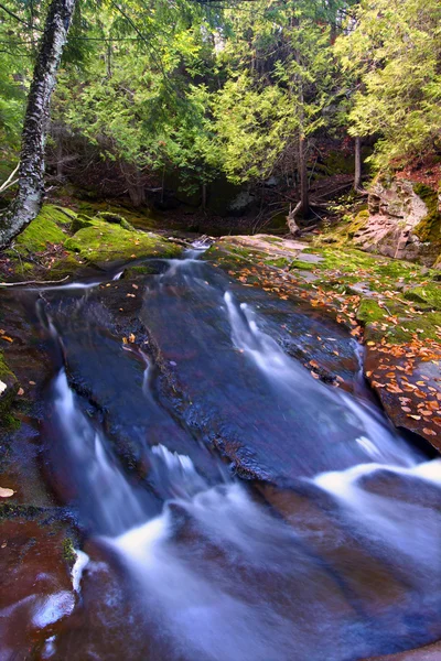 Union flußschlucht michigan — Stockfoto