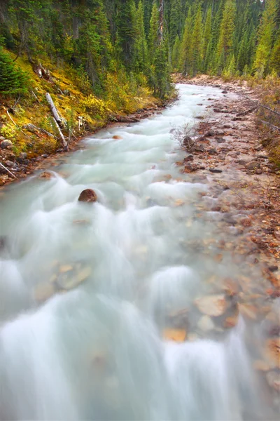 Yoho Little river rapids canada — Foto Stock