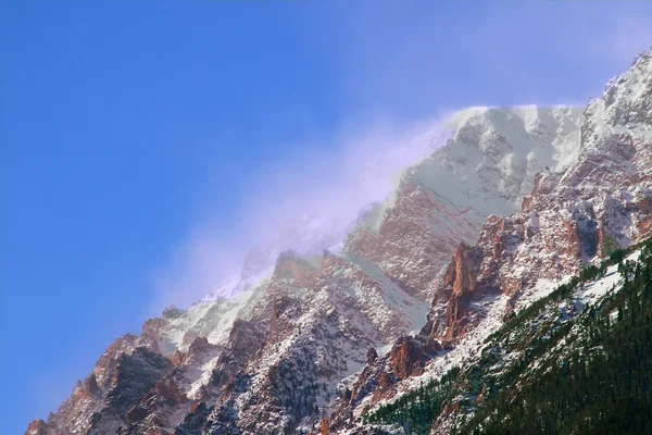 Mount chapin Colorado — Stock fotografie