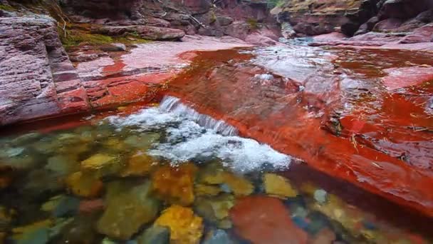 Κόκκινο βράχο φαράγγι του Καναδά — Αρχείο Βίντεο