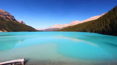 Peyto Gölü banff Ulusal Parkı