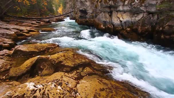 Cascades of Maligne Canyon Canada — Stock Video