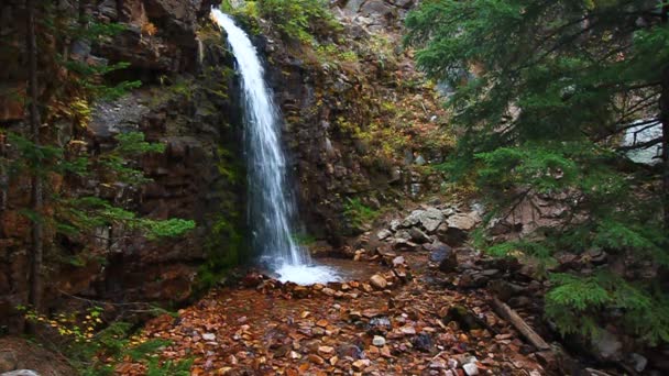 Lower Memorial Falls en Montana — Vídeo de stock