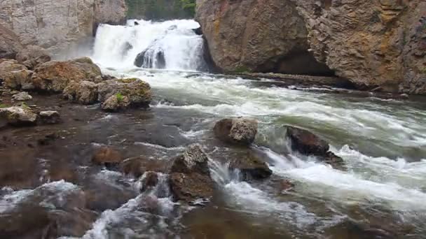 FireHole Falls - Yellowstone — Stockvideo