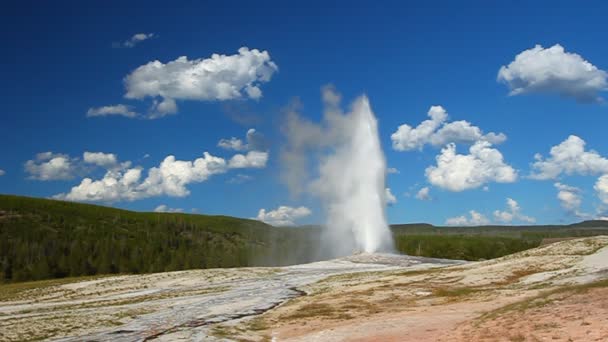 Viejo géiser fiel - Yellowstone — Vídeo de stock