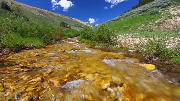 Bighorn Mountains Stream — Stock Video