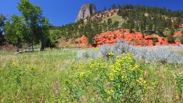 Devils Tower National Monument — Stock Video