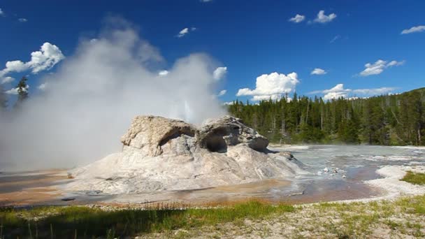 Parco nazionale di Grotto Geyser Yellowstone — Video Stock