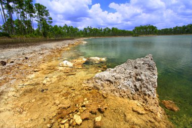 Everglades ulusal park - ABD