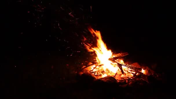 Campamento fuego fondo — Vídeo de stock