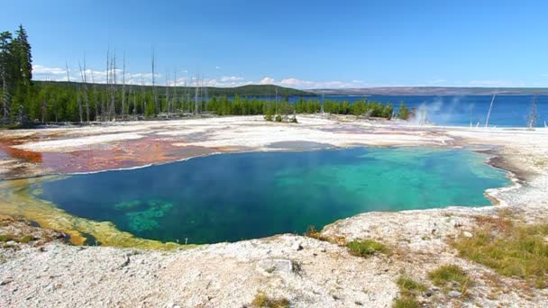 Afgrond pool van yellowstone — Stockvideo