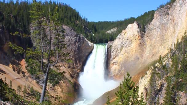 Cascate inferiori della Yellowstone — Video Stock