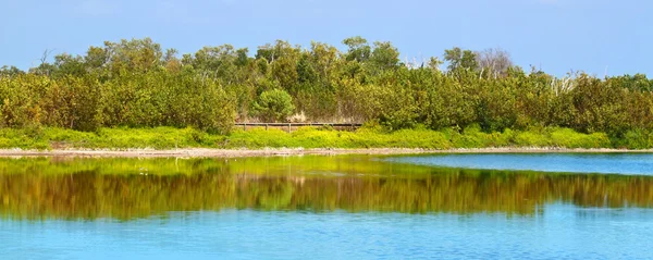 Eco Pond Everglades National Park — Stock Photo, Image