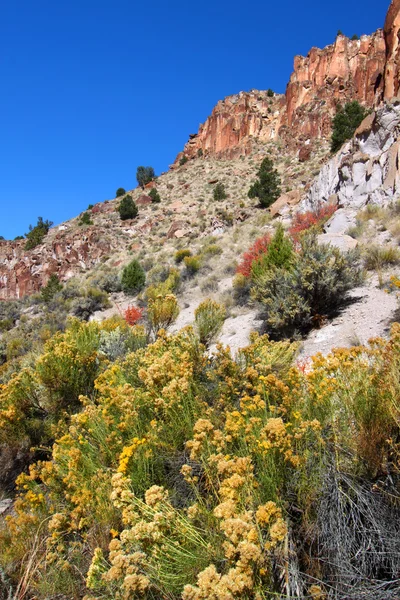 Wildflowers and Rocky Cliffs of Utah — Stock Photo, Image