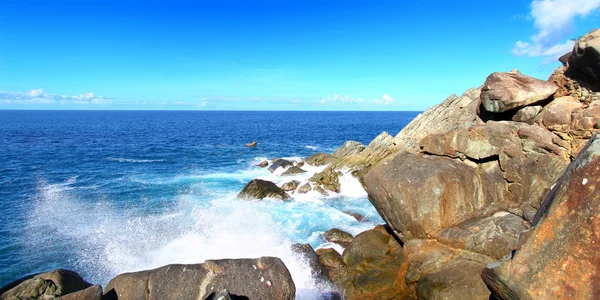 Parque Nacional de Shark Bay Tortola —  Fotos de Stock