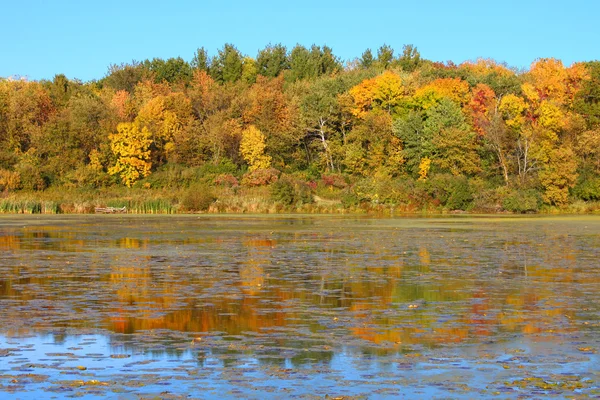 Lac Olson, Illinois du Nord — Photo