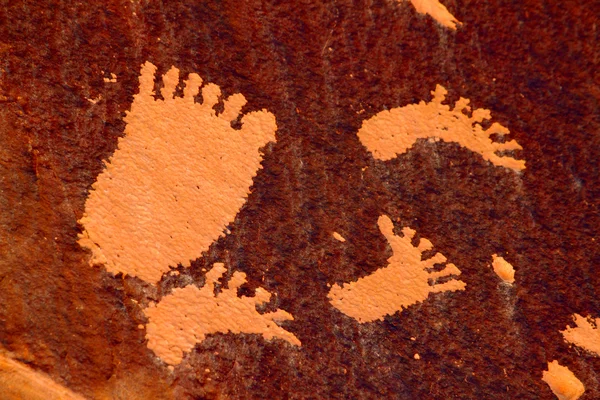 Footprint Petroglyph Newspaper Rock — Stock Photo, Image