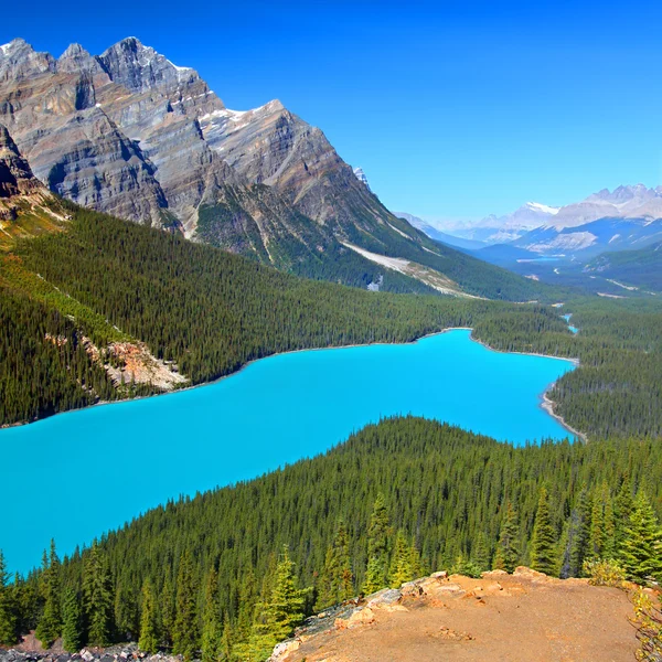 カナダ ペイトー湖 ストック画像