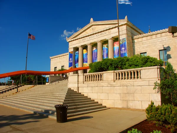 Shedd Aquarium Chicago Illinois — Stock Photo, Image