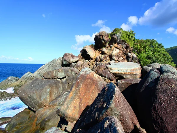 Taman Nasional Shark Bay Tortola — Stok Foto