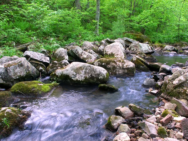 Baxterovi duté přírodní oblast státu — Stock fotografie