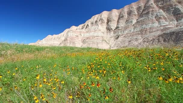 Usa Badlands Nemzeti Park — Stock videók