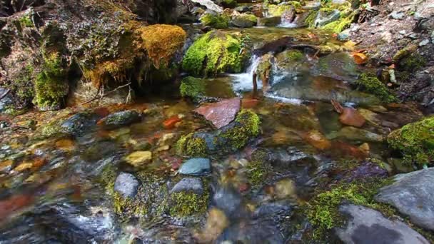 Fluxo do Parque Nacional da Geleira — Vídeo de Stock