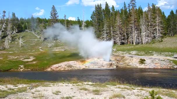 Δίπλα στο ποτάμι geyser του yellowstone — Αρχείο Βίντεο
