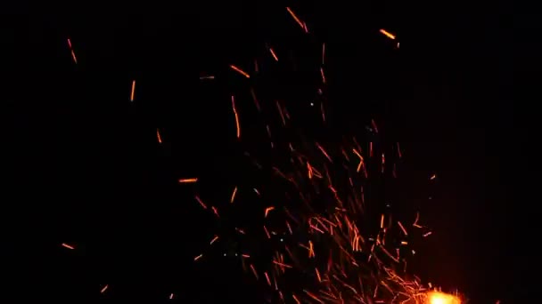 Lagerfeuer funkt Hintergrund — Stockvideo