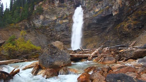 Směje se národním parku yoho falls — Stock video