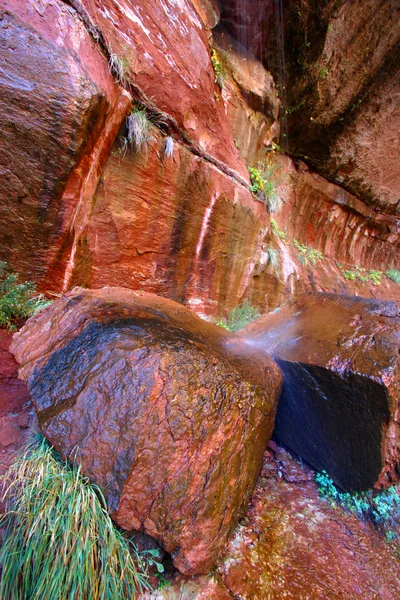 Skalní scenérie národního parku Zion — Stock fotografie