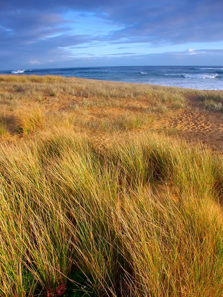 Warrnambool beach i Australien — Stockfoto