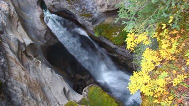 Maligne Kanyon şelale