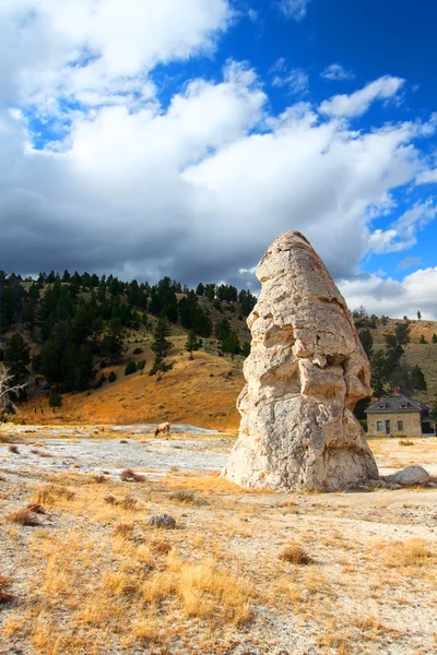 Ελευθερίας κώνου εθνικό πάρκο yellowstone — Φωτογραφία Αρχείου