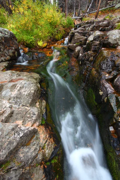 National Forest Creek Cascade — Stock Photo, Image