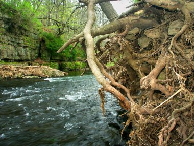 elma river canyon park Devlet Illinois