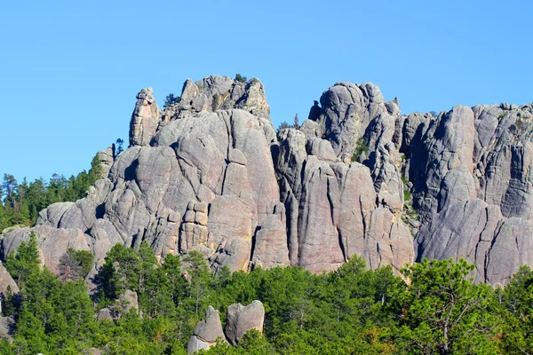 Black Hills National Forest — Stock fotografie