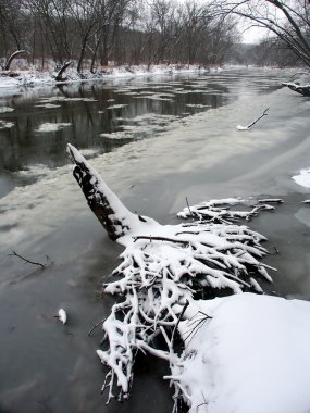 kishwaukee nehir kış sahne