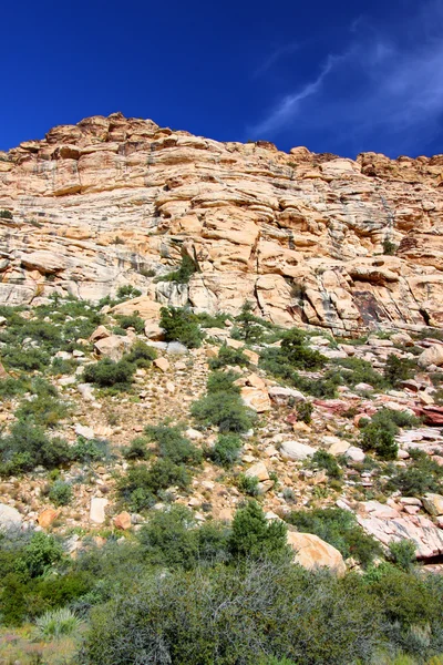 빨간 바위 협곡 국가 보존 지역 — 스톡 사진