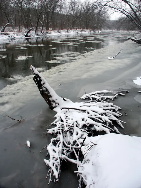kishwaukee nehir kış sahne