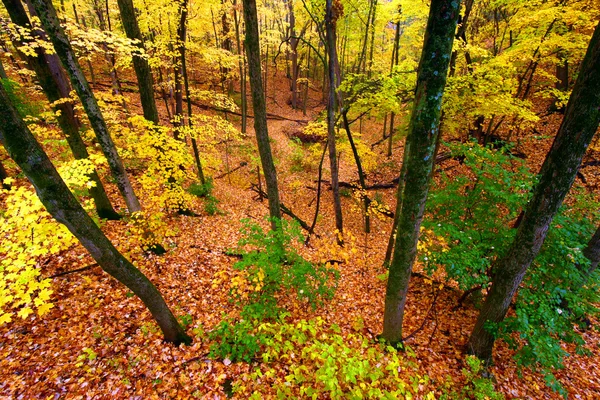 Piękna jesień krajobraz illinois — Zdjęcie stockowe