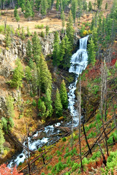 Undine Falls Yellowstone National Park — Stock Photo, Image