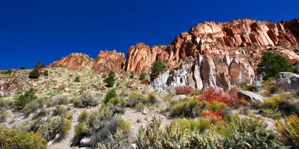 Wildflowers and Rocky Cliffs of Utah — Stock Photo, Image